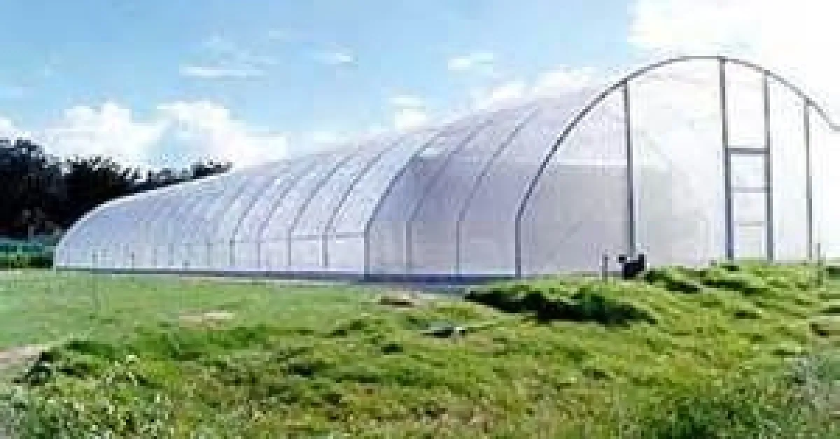 Property Firm Accused of Using Radio Presenter to Swindle Millions from Kenyans