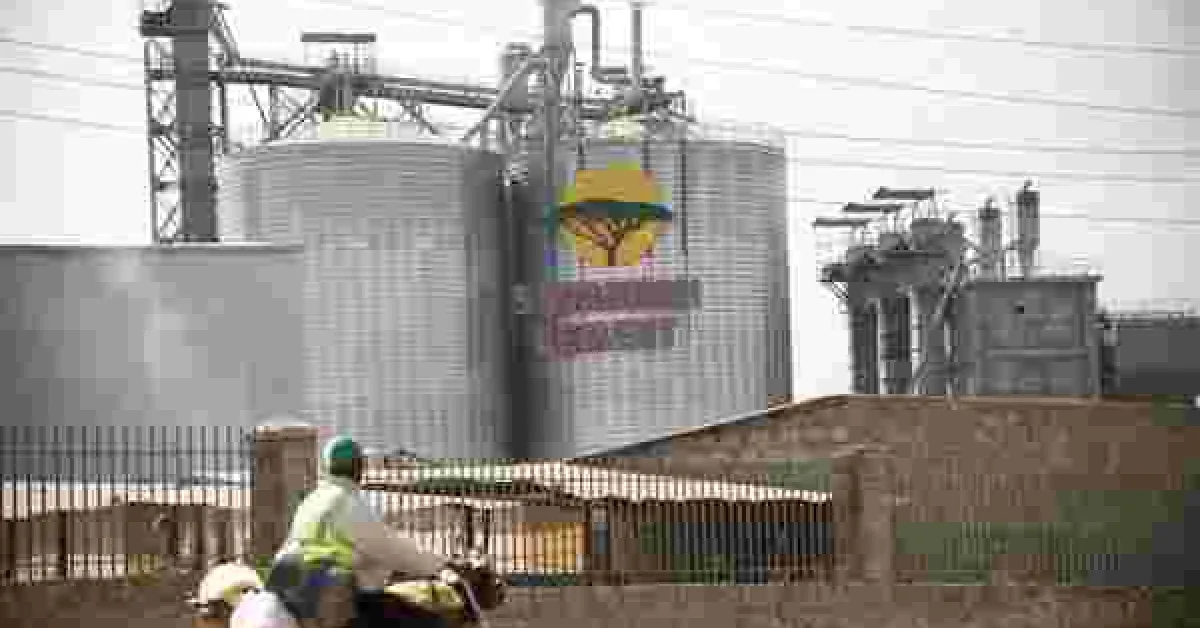 Where to Buy Cheap Land in Nairobi