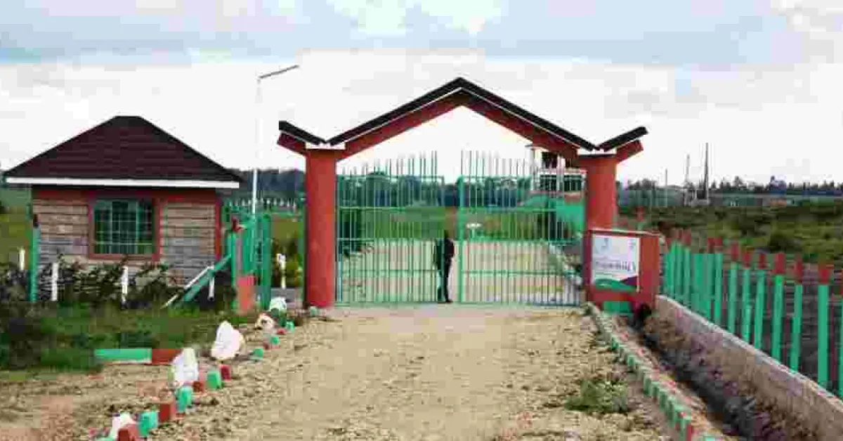 Option Real Estate USA Tour 2019