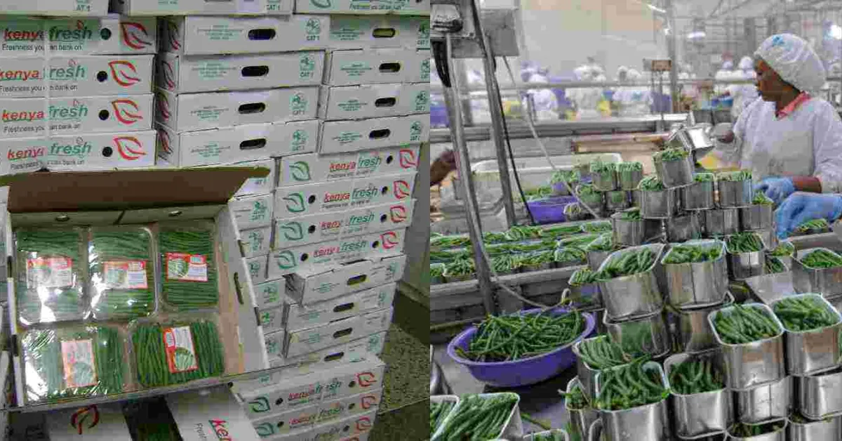 36 Kenyan Fruits and Vegetables Companies Bag Sh235 Million Orders in Virtual Italian Trade Fair