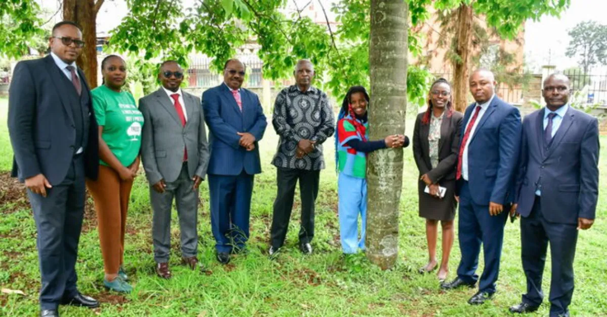22-Year-Old Activist Truphena Muthoni Sets Out to Hug Tree for 72 Hours in Deforestation Protest