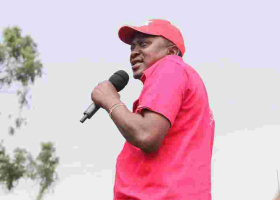 President Uhuru Asks Peter Kenneth to Step Down for Sonko in Nairobi Governor Race