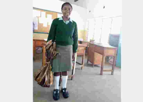 Kenyans React to Photo of Student Carrying Back to School Shopping on Banana Leaves Following Plastics Ban