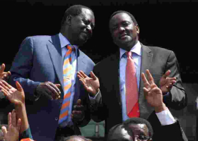NASA Urges Supreme Court to Nullify Uhuru's Win, Order Fresh Elections