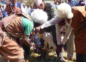 Kikuyu Elders Curse Embakasi East MP Babu Owino Over Slur Directed at President Uhuru