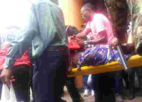 Bees Force Police, Protesters Outside the Supreme Court to Scamper for Safety 