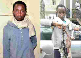 Nairobi Man Arrested for Selling Samosas Made from Cat Meat