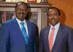 Jubilee Files Case against Raila, Kalonzo at the Supreme Court
