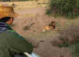 How Chinese Tourist Boosts Local Incomes in Maasai Mara