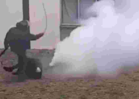 IPOA Probes Police Brutality Claims at Multimedia University Protests