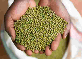 Kenyan MPs Vote Down 'Ndengu Bill' Amid Farmer Backlash