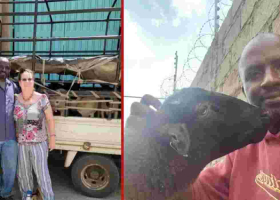 Wall Street Pro Turns to Dorper Sheep Farming in Kenya