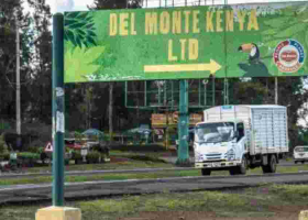 G4S Under Fire Over Alleged Attack on Kenyans at Del Monte Farm