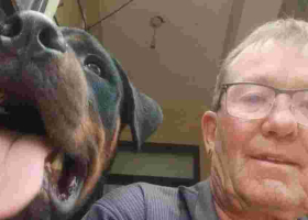 Expatriate Fears Rise After Violent Death of UK Golfer in Mombasa Home 