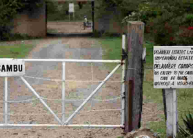 The Fall of Kenya's Delamere Family