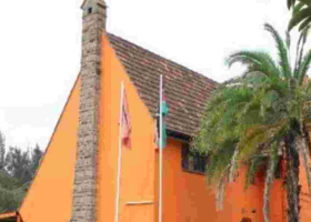 ODM: 7-Year Term Plan Violates Constitution's Core Principles