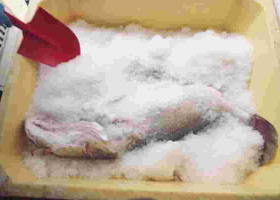 Kenyan Company Wins Prestigious Earthshot Prize for Innovative Waste-Reduction Solutions