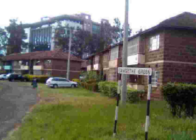 Woodley Estate Residents Seek Foreign Intervention Over Forced Evictions