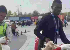 Kenyan Athletes Awarded Live Geese after Winning Chinese Marathon