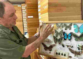 Steve Collins: Kenyan Man Who Turned Butterfly Collecting into Million-Shilling Art