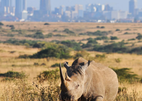 Kenya Tourism Board Awards Eight Photographers in National Contest to Showcase Hidden Attractions