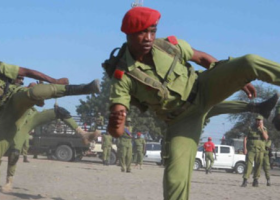 Tanzania-Kenya Police Collaboration Leads to Three Arrests in Molo Activist Murder