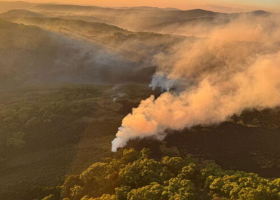 Wildfires Engulf Aberdare and Mount Kenya Forests as Conservation Teams Battle Multiple Blazes