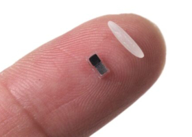 US Scientists Develop Rice-Sized Dissolvable Pacemaker to Revolutionize Cardiac Care