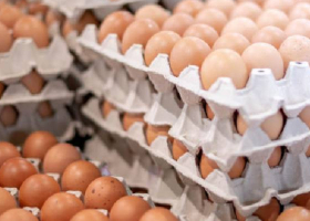 Kenya Moves to Scrap Excise Duties on Imported Eggs, Onions, and Potatoes