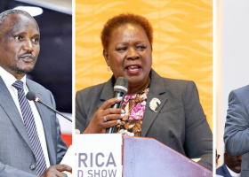 Senate Moves to Censure Three Cabinet Secretaries for Ignoring Parliamentary Oversight