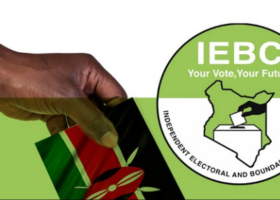 Petitioners Seek to Void IEBC Appointments Made in Defiance of Court