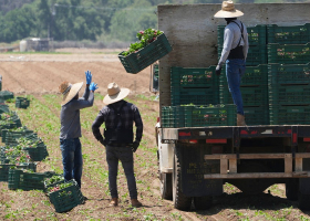 ICE Raids Resume Nationwide as Trump Targets Undocumented Workers