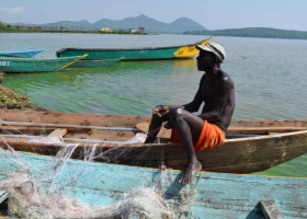 The Hidden Threat That Could Wipe Tilapia Off East African Menus