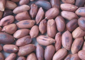 KEBS Cracks Down on Uncertified Goods in Karen, Ngong, and Kiserian