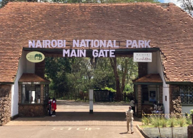 KWS Plans Free Entry to Parks for Elderly, Children, and Registered Guides