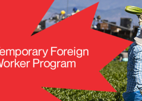 Canada’s Temporary Foreign Worker Program Faces Permanent Shutdown 