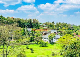 Ngong, Kiambu and Muthaiga Among Nairobi Areas with Declining Land Prices