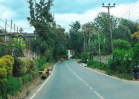 Why Kerarapon Is Emerging as a Cheaper Alternative to Karen