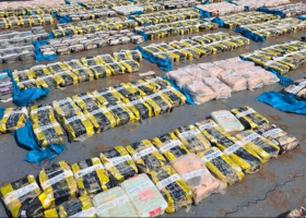 Woman’s Arrest Uncovers KDF Involvement in Sh8.2bn Meth Bust