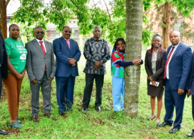 22-Year-Old Activist Truphena Muthoni Sets Out to Hug Tree for 72 Hours in Deforestation Protest