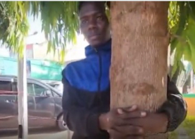 Murang’a Man Begins 80-Hour Tree-Hug Protest to Demand Better Cancer Care in Kenya