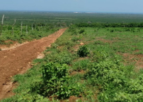 Developers Accused of Making Millions from Scamming Diaspora