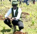 Kenyan Environmentalist Targets World Record with 24,000 Trees in 24 Hours