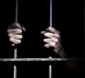 How a Stolen Chicken and Ugali Accusation Led to 20-Year Jail Terms for Four Brothers