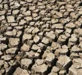 Record Dry Conditions Fuel Severe Drought in Wales, Sparking Global Water Concerns