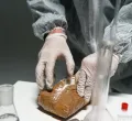Australia's Largest Cocaine Bust Highlights Growing Global Drug Trafficking Concerns