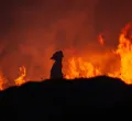 Fire Devastates Bangladesh's Kutupalong Refugee Camp, Displacing Thousands