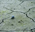 Global Leaders Meet to Address Climate Change Amid Increasing Urgency