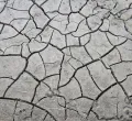 Absence of Key Leaders at COP30 Raises Questions About Commitment to Climate Goals