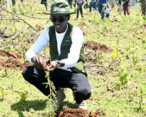 Kenyan Environmentalist Targets World Record with 24,000 Trees in 24 Hours